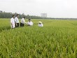 Le Soudan souhaite renforcer sa coopération avec le Vietnam dans l'agriculture et l'industrie
