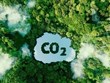 Formation sur l'échange de quotas d'émission et le marché du carbone