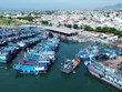 Pour le développement durable du secteur de la pêche au Vietnam