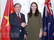 Approfondir davantage les relations entre le Vietnam et l'Australie et la Nouvelle-Zélande