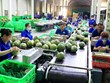 Les exportations de fruits et légumes enregistrent un nouveau record