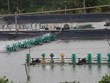 Construire une zone d'aquaculture pour l'exportation en aval de la rivière Tien