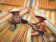 La vitalité d'un village de tissage de nattes à Dông Thap