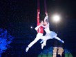 Le Festival international du cirque prévu en décembre