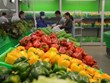 Les exportations de fruits et légumes devraient prospérer d'ici la fin de l'année 