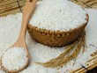 Le Vietnam représente 87% des importations totales de riz des Philippines