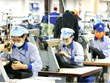 Thanh Hoa: les entreprises exportatrices de main-d'œuvre s'efforcent de surmonter les difficultés