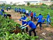 Bac Ninh fait écho à la campagne "Pour un monde plus propre" 