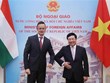 Vietnam-Hongrie : entretien entre les deux ministres des Affaires étrangères