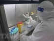 COVID-19 : Hô Chi Minh-Ville détecte trois premiers cas d’infection locale du variant Omicron