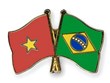 Célébration des 30 ans des relations Vietnam-Brésil à Brasilia