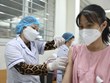 COVID-19 : le Vietnam recense 730 nouveaux cas en 24 heures