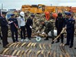 Hai Phong: les organes compétents saisissent 125 kg d’ivoire