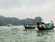 Collecte de bouées flottantes en polystyrène en baie d’Ha Long
