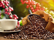Les exportations de café pourraient franchir la barre des 4 milliards de dollars