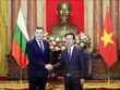 Le président Vo Van Thuong reçoit de nouveaux ambassadeurs 