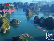 Le tourisme vietnamien accélère son processus de transformation numérique