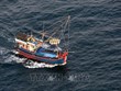 Le Vietnam déploie des efforts continus contre la pêche INN