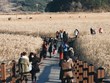 La province sud-coréenne de Jeolla du Sud prolonge la période d'exemption de visa pour les touristes vietnamiens