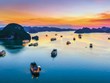 Un spectacle de lumière de drones sera présenté cet été au-dessus de la baie d'Ha Long