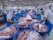 Pour le développement durable et l’intégration de la pêche vietnamienne