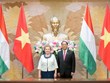 Amélioration de l’efficacité des accords de coopération Vietnam-Hongrie