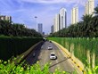 Hanoï renforce le "verdissement" de voies de circulation