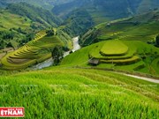 Les rizières en terrasses, merveilles de la région Nord-Ouest