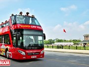 Des bus à deux étages pour les touristes à Hanoï