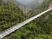 Bach Long, le pont en verre le plus long du monde