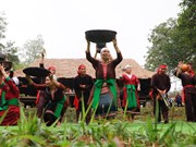 "Châm do ho", une chanson folklorique empreinte de l’identité culturelle de l’ethnie Thô