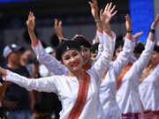 Journée culturelle des ethnies du Vietnam: honorer les valeurs culturelles des ethnies 