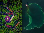 Des photos prises au Vietnam à l'honneur aux Drone Photo Awards