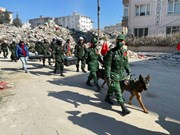 Séisme en Turquie: l'équipe de secourisme de l'Armée vietnamienne est arrivée sur les lieux