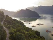 La beauté majestueuse et poétique du réservoir de Hoa Binh
