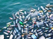 Exposition de photos sur les déchets plastiques à Hanoï