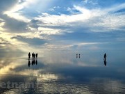 Thai Binh: beauté de la plage de Quang Lang au lever du soleil