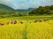 Binh Lieu conquiert des touristes par sa beauté naturelle et ses valeurs culturelles traditionnelles