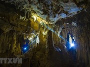 La grotte Tra Tu - une destination impressionnante à Ninh Binh