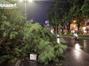 Hanoi dépenaillée après la pluie dilluvienne 
