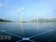 Le Vietnam connaît une croissance étonnante de l'énergie propre