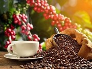Le Vietnam parmi les 10 pays ayant une culture du café unique