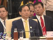 Le ministre Bui Thanh Son à une réunion spéciale des ministres des Affaires étrangères ASEAN-Inde