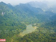 Cuc Phuong honoré pour la 4ème fois en tant que "Parc national le plus important d'Asie" 