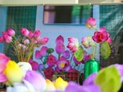 Le village des fleurs en papier de Thanh Tiên à Huê