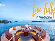 Le Vietnam est une destination idéale pour des vacances en famille