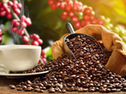 Les exportations de café du Vietnam espèrent rapporter plus de 4 milliards d’USD cette année