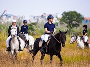 Découvrir les sports équestres à Hanoi 