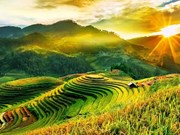 Travel Off Path loue le Vietnam pour la beauté de sa nature préservée