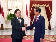 Le Vietnam chérit son partenariat stratégique avec l’Indonésie